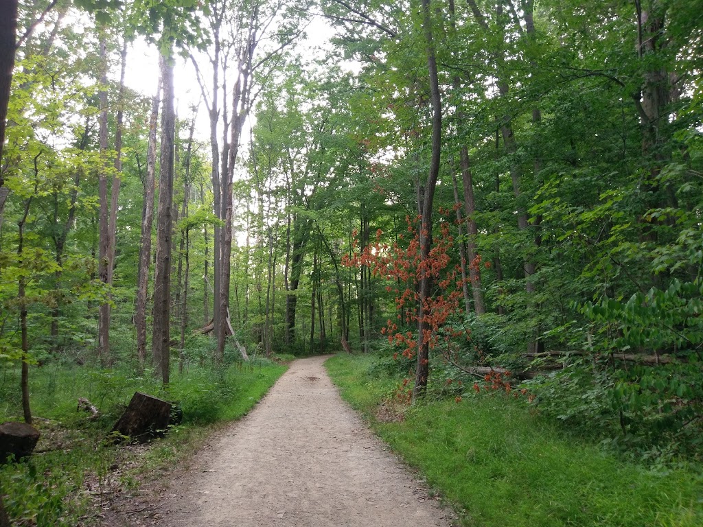 River Grove Chestnut Shelter | 2944 River Rd #2908, Willoughby Hills, OH 44094, USA | Phone: (216) 635-3304