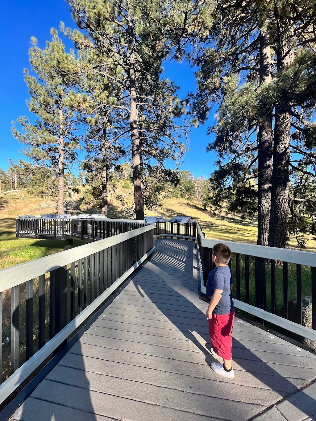 Meadows Information Kiosk Trailhead | Mt Laguna, CA 91948, USA | Phone: (858) 673-6180