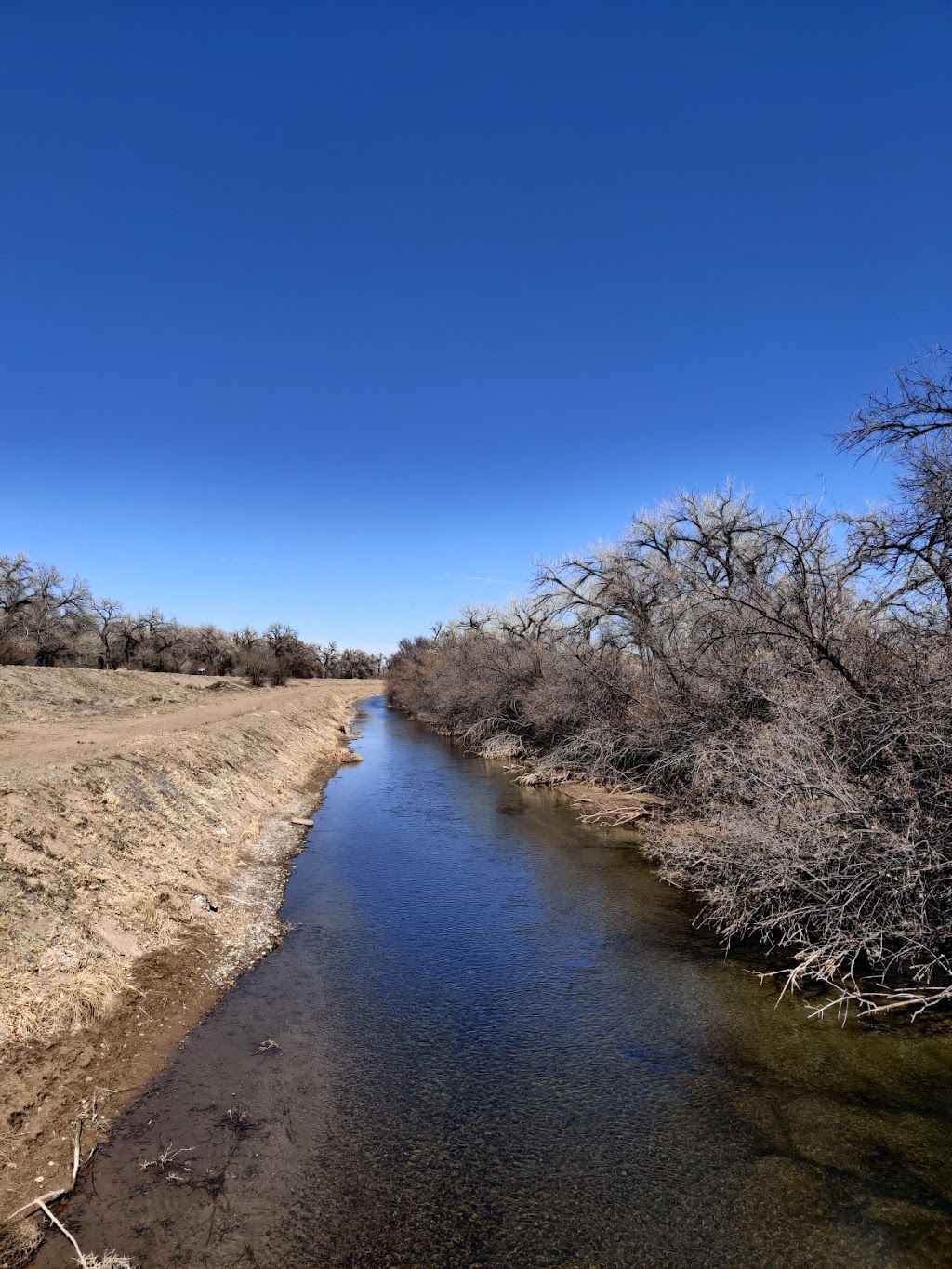 Rio Grande Nature Center State Park | 2901 Candelaria Rd NW, Albuquerque, NM 87107, USA | Phone: (505) 344-7240