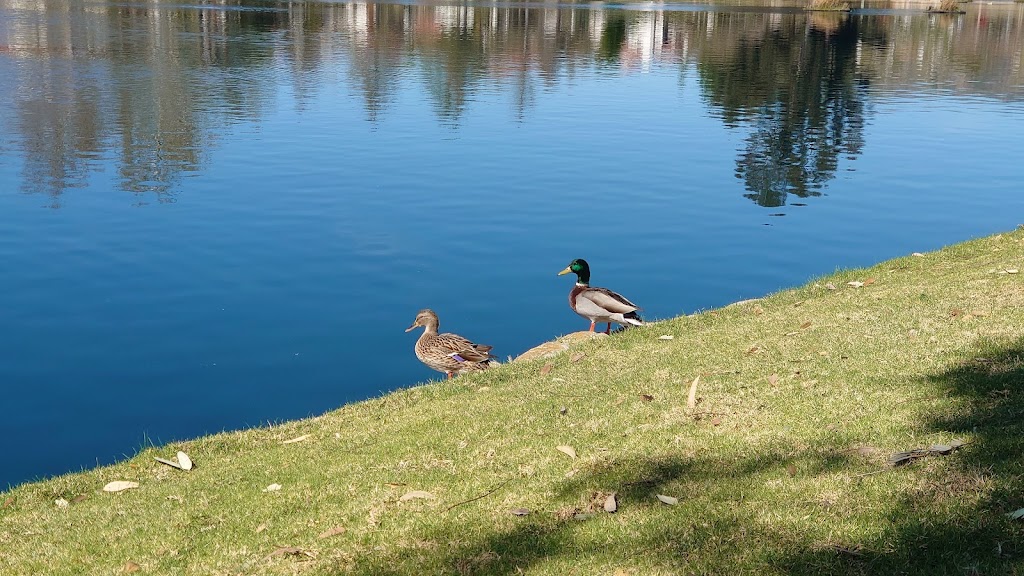 Rancho Santa Margarita Lake Park | Rancho Santa Margarita, CA 92688, USA | Phone: (949) 709-0010