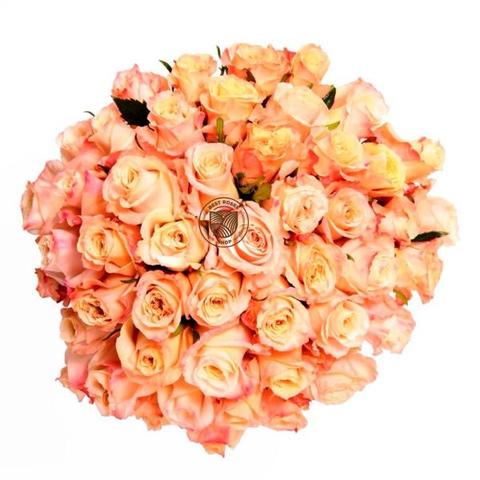 Best Roses Shop | 16132 NW 14th Ct, Pembroke Pines, FL 33028, USA | Phone: (323) 835-1101