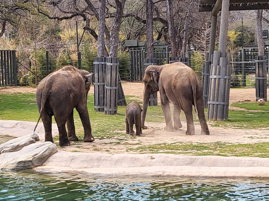 Fort Worth Zoo | 1989 Colonial Pkwy, Fort Worth, TX 76110, USA | Phone: (817) 759-7555