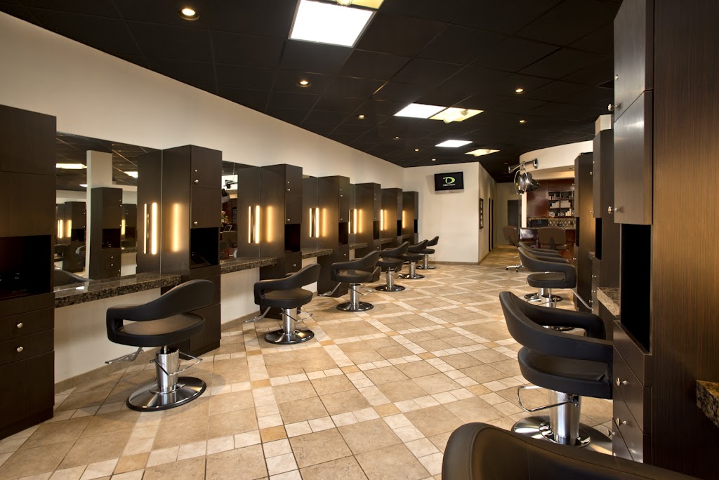 The David Salon | Country Side Center, 355 Bristol St d, Costa Mesa, CA 92626, USA | Phone: (714) 549-1160