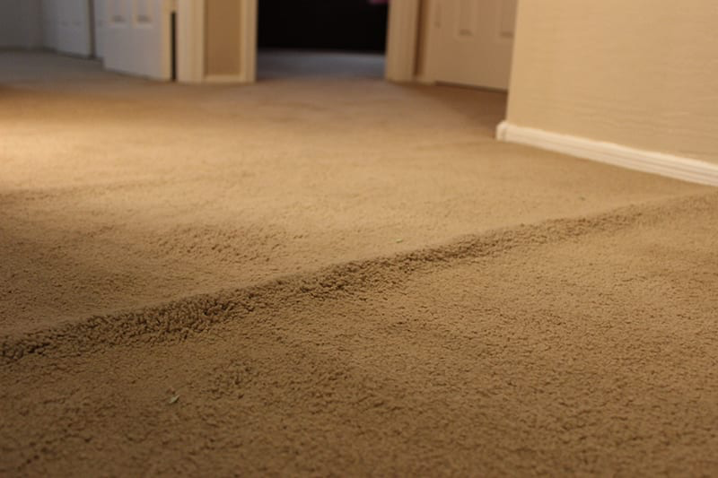 Piles Carpet Care & Restoration Service | 5298 Bardstown Rd, Elizabethtown, KY 42701, USA | Phone: (270) 765-2828