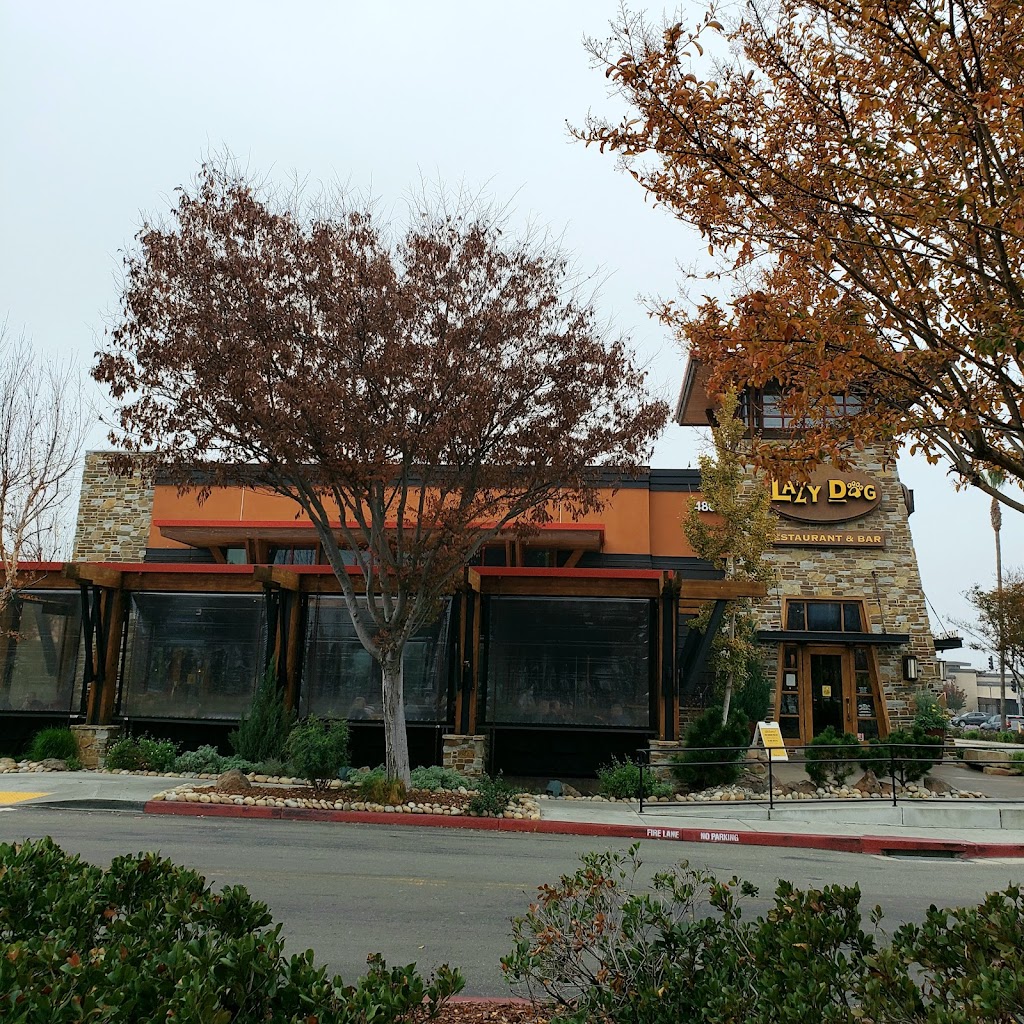 Lazy Dog Restaurant & Bar | 4805 Hacienda Dr, Dublin, CA 94568, USA | Phone: (925) 361-3690