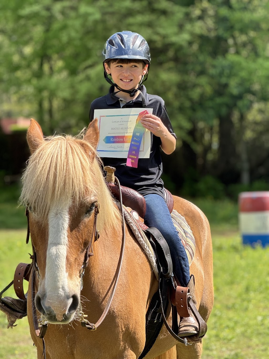 New London Farm | 3935 Lee Rd, Snellville, GA 30039, USA | Phone: (404) 849-9305