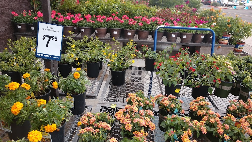 Lowes Garden Center | 1229 S Ellsworth Rd, Mesa, AZ 85209, USA | Phone: (480) 373-2440