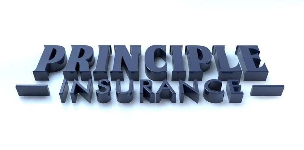 Principle Insurance, Inc. | 1331 Saddle Ct, Palm Harbor, FL 34683, USA | Phone: (727) 493-5400