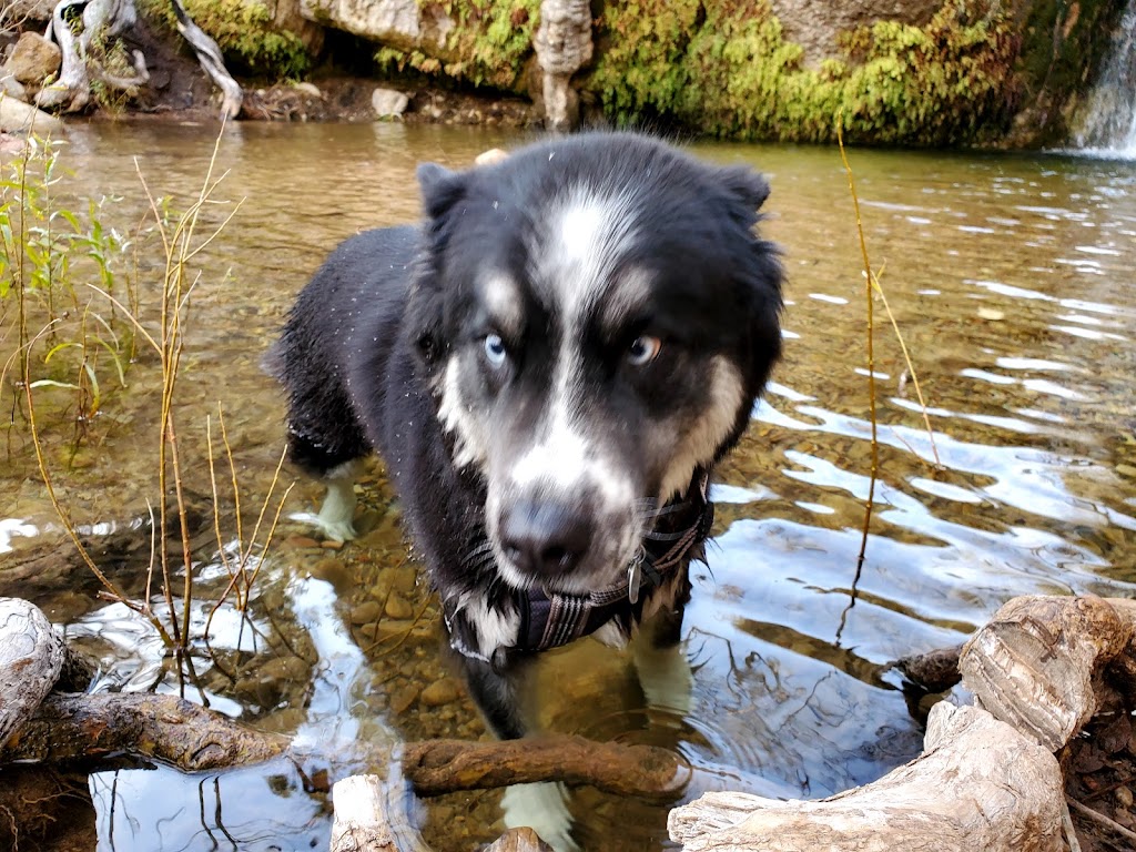 First Creek Trailhead | NV-159, Las Vegas, NV 89161, USA | Phone: (702) 515-5367