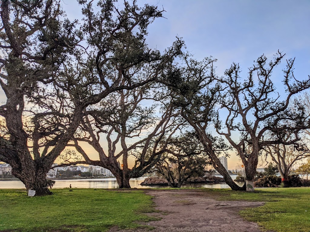 Rotary Nature Center | 600 Bellevue Ave, Oakland, CA 94610, USA | Phone: (510) 238-3739