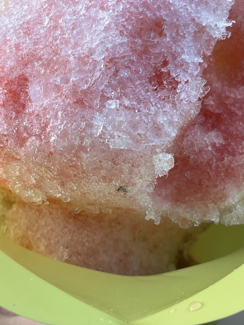 Lizzy Lous Shaved Ice | 5850 Highway N, Cottleville, MO 63304 | Phone: (913) 907-0504