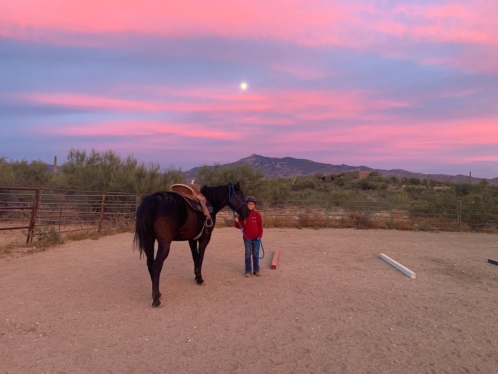 Rincon Creek Riding Academy | 15460 E Rincon Creek Ranch Rd, Tucson, AZ 85747, USA | Phone: (520) 370-5970