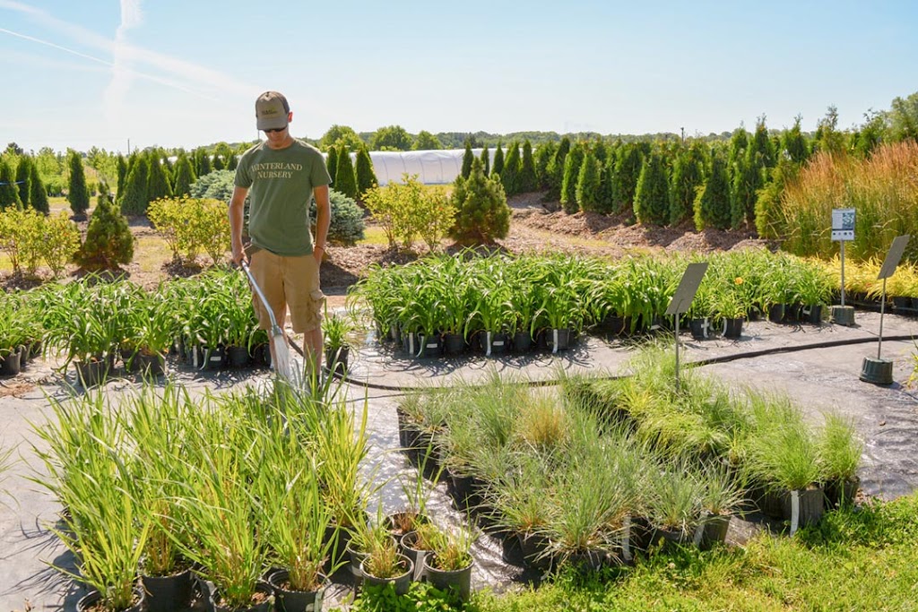 McKay Garden Center - Oregon | 5655 Lincoln Rd, Oregon, WI 53575, USA | Phone: (608) 835-6556