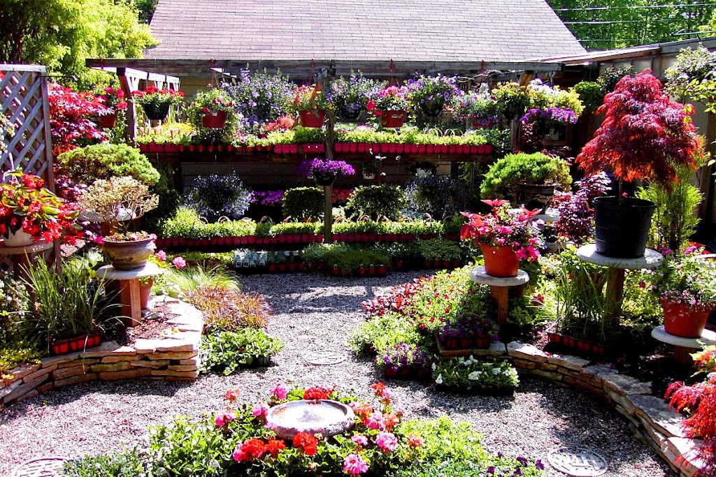 Northland Gardens Inc. | 423 West Mountain Road, Queensbury, NY 12804, USA | Phone: (800) 426-6724