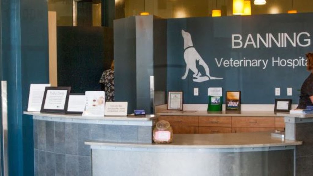 Banning Veterinary Hospital | 3559 W Ramsey St Suite E, Banning, CA 92220, USA | Phone: (951) 849-3864