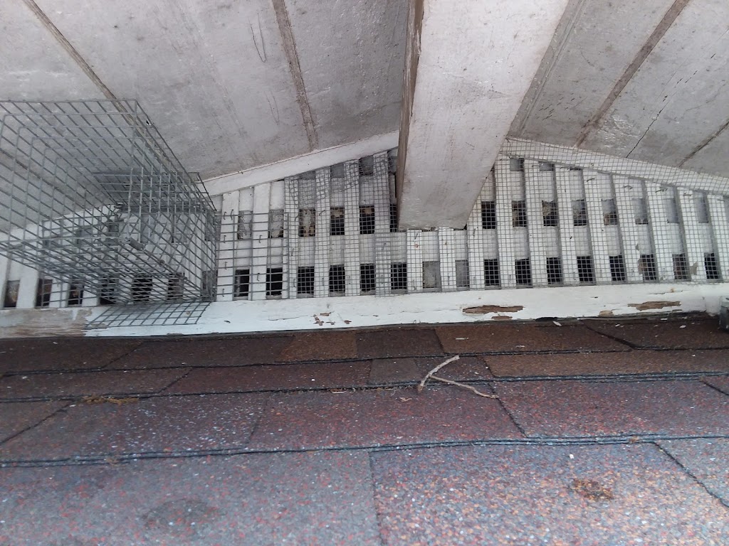 Ramson Services, inc. | 6348 Rocky Point Rd, Lake Wales, FL 33898, USA | Phone: (863) 232-9153