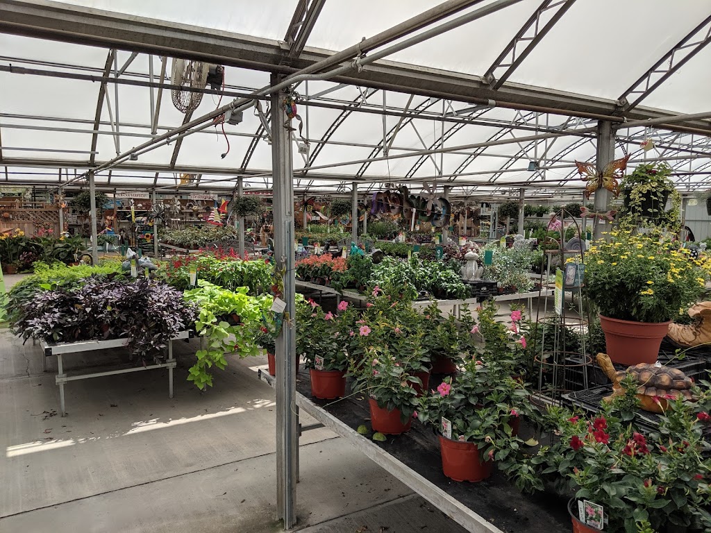 Malmborgs Garden Center | 20045 County Rd 81, Rogers, MN 55311, USA | Phone: (763) 428-2061