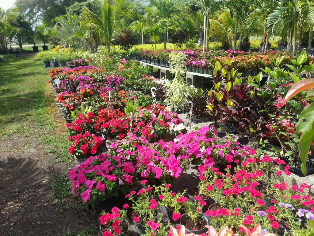 precious gardens nursery inc | 21190 Krome Ave, Miami, FL 33187, USA | Phone: (786) 486-0739