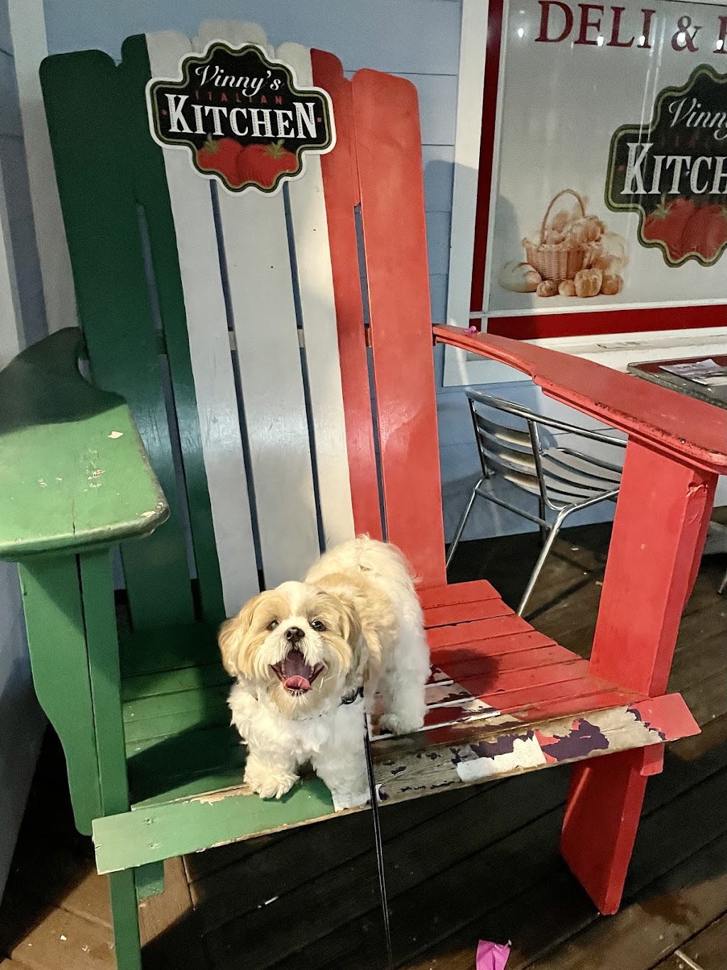 Southpaw Animal Health | 15421 N Dale Mabry Hwy, Tampa, FL 33618, USA | Phone: (813) 968-4025