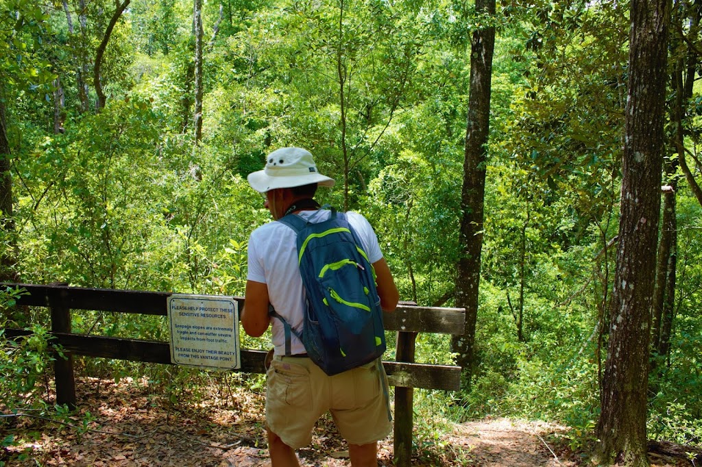 Black Creek Ravines Conservation Area | 5703 Green Rd, Middleburg, FL 32068, USA | Phone: (386) 329-4404