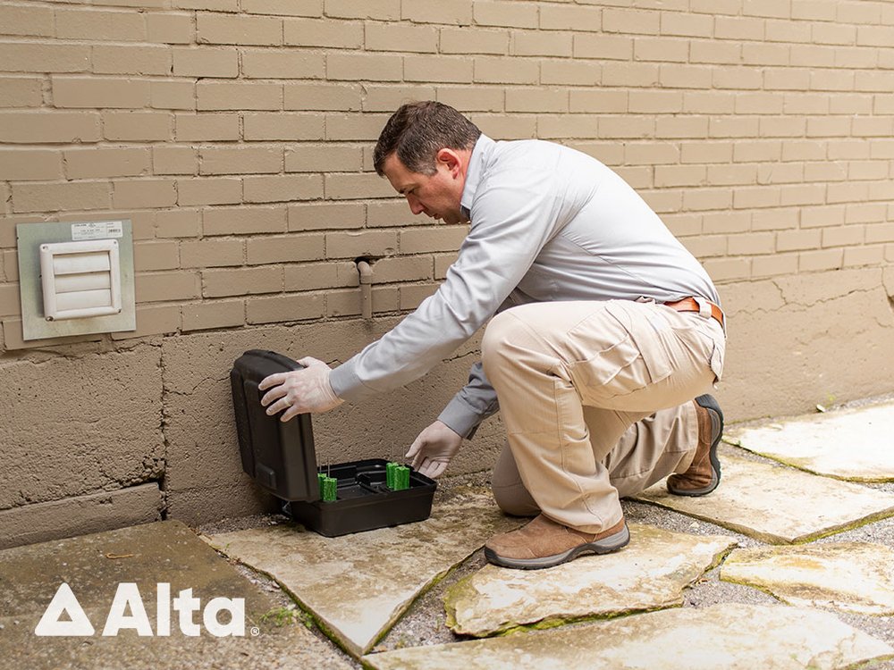 Alta Pest Control - Washington D.C | 44845 Falcon Pl Suite 101A, Sterling, VA 20166, USA | Phone: (202) 850-0925