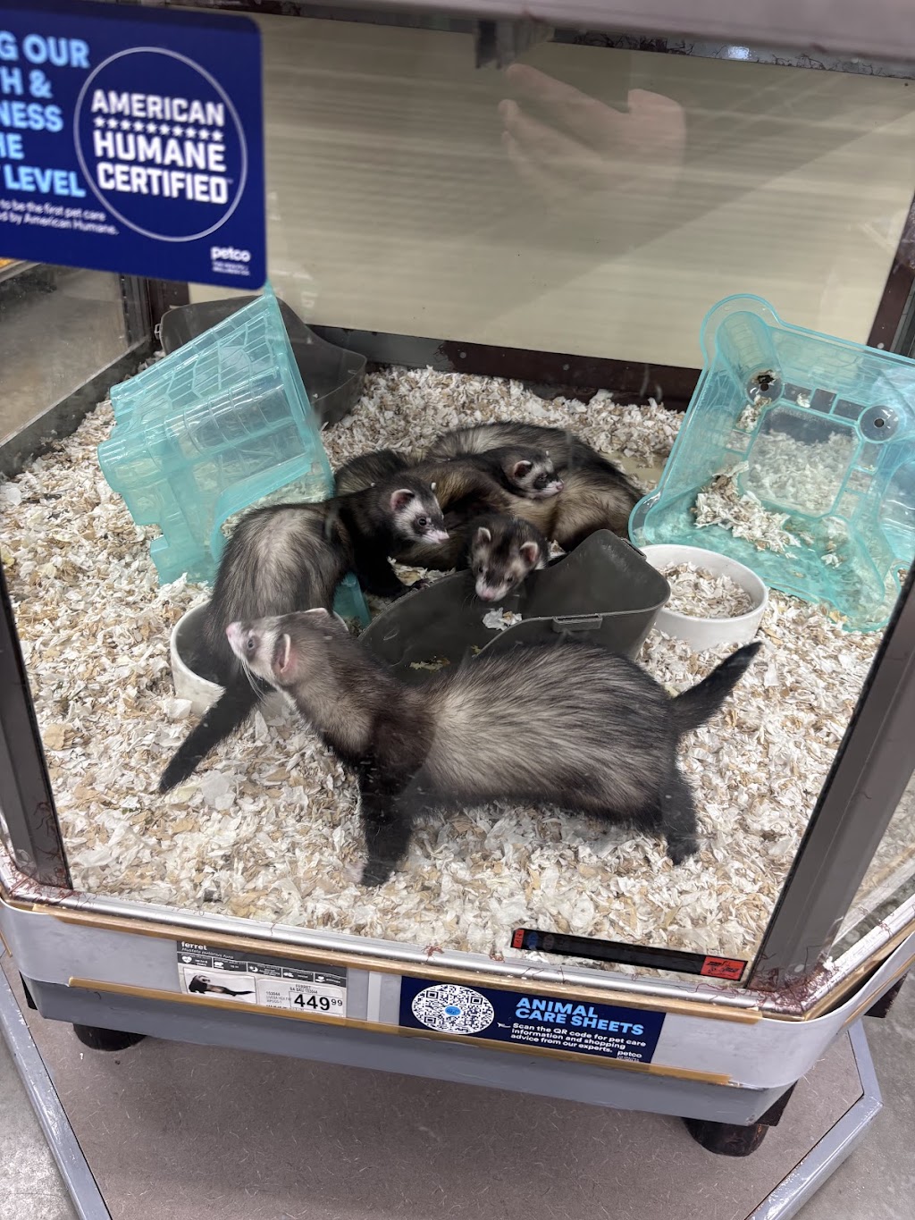 Petco | 4600 Casey Blvd #100, Williamsburg, VA 23188, USA | Phone: (757) 259-1980