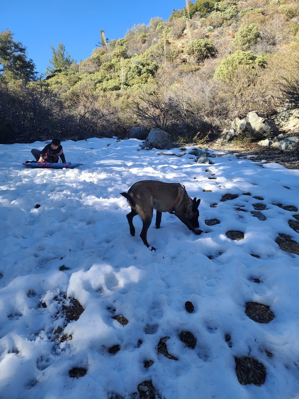 Cucamonga Wilderness | California, USA | Phone: (626) 335-1251