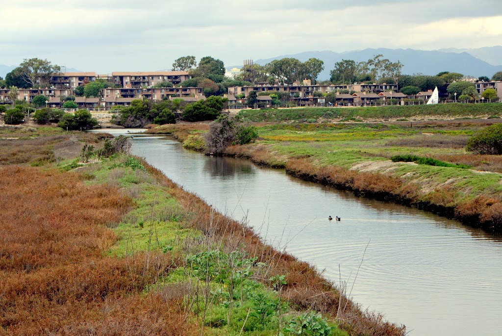 Ballona Wetlands Ecological Reserve | Playa Del Rey, CA 90293, USA | Phone: (888) 773-8450