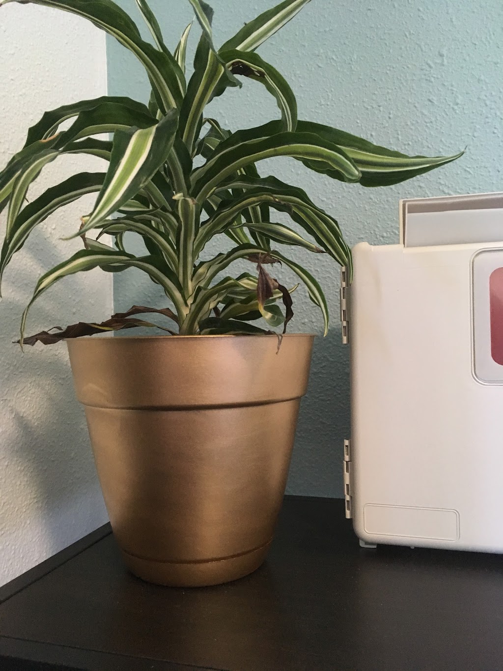 Vitruvian Holistic Healthcare | 13258 1st Ave S Suite C, Burien, WA 98168, USA | Phone: (425) 835-3077 Vitruvian Holistic Healthcare | 13258 1st Ave S Suite C, Burien, WA 98168, USA | Phone: (425) 835-3077