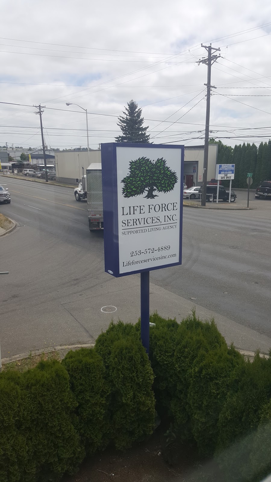 Life Force Services | 3901 S 56th St, Tacoma, WA 98409 | Phone: (253) 572-4889