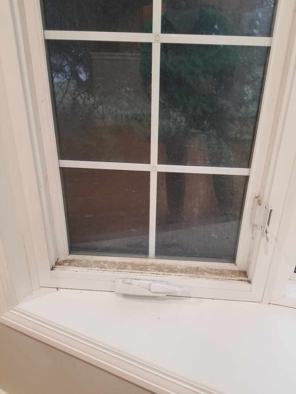 Triple J Cleaning of Omaha | Drexel St, Omaha, NE 68107, USA | Phone: (402) 706-9502 Triple J Cleaning of Omaha | Drexel St, Omaha, NE 68107, USA | Phone: (402) 706-9502