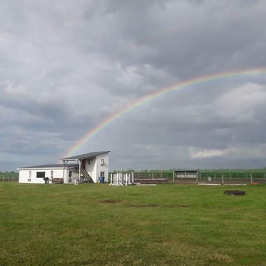 Highland Saddle Club Equestrian Center | 12118 Ellis Rd, Highland, IL 62249, USA | Phone: (618) 567-5477