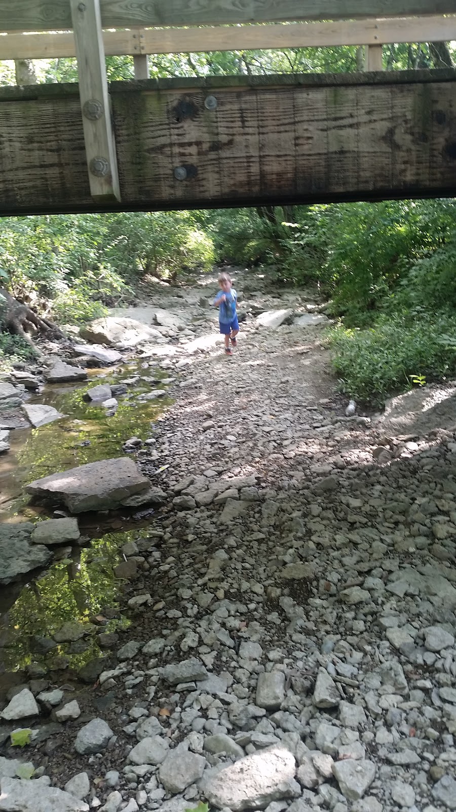 Forest Run Metropark | 1810 New London Rd, Hamilton, OH 45013, USA | Phone: (513) 867-5835