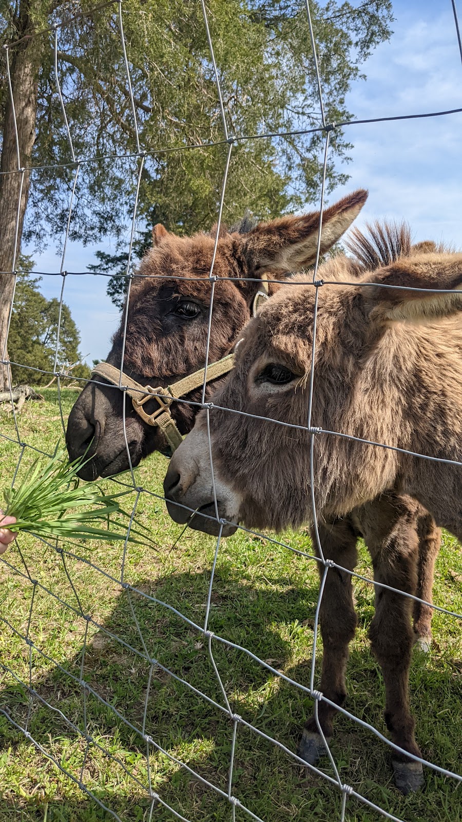 Germantown Cemetery | 11177 W Market St, Germantown, OH 45327, USA | Phone: (937) 855-3011