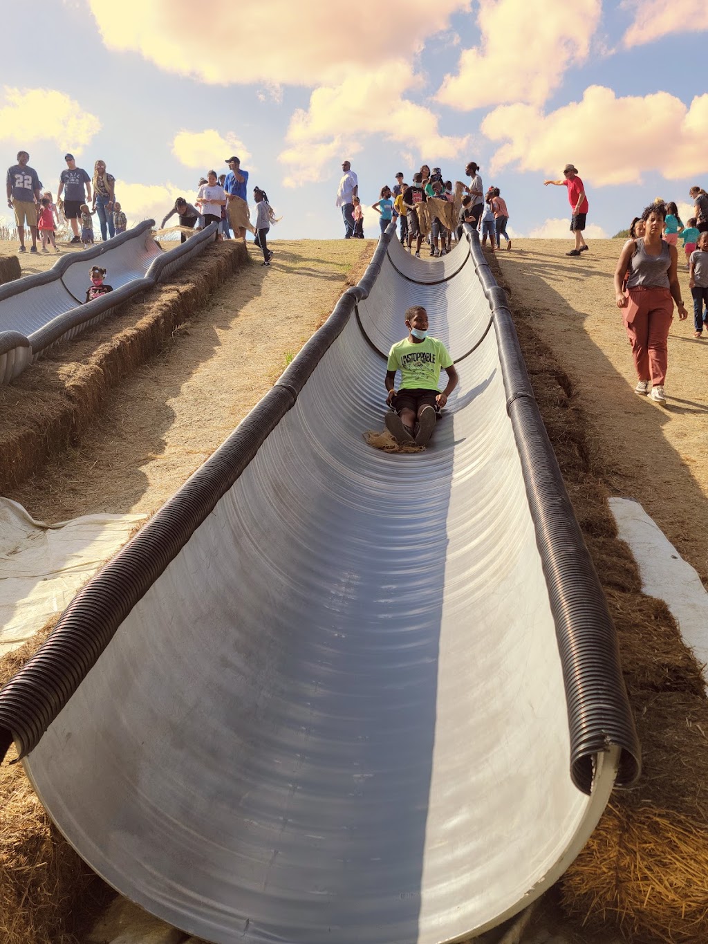 Shadow Creek Pumpkin Farm | 99.0959.000.016.99.108, Midlothian, TX 76065, USA | Phone: (469) 612-3331