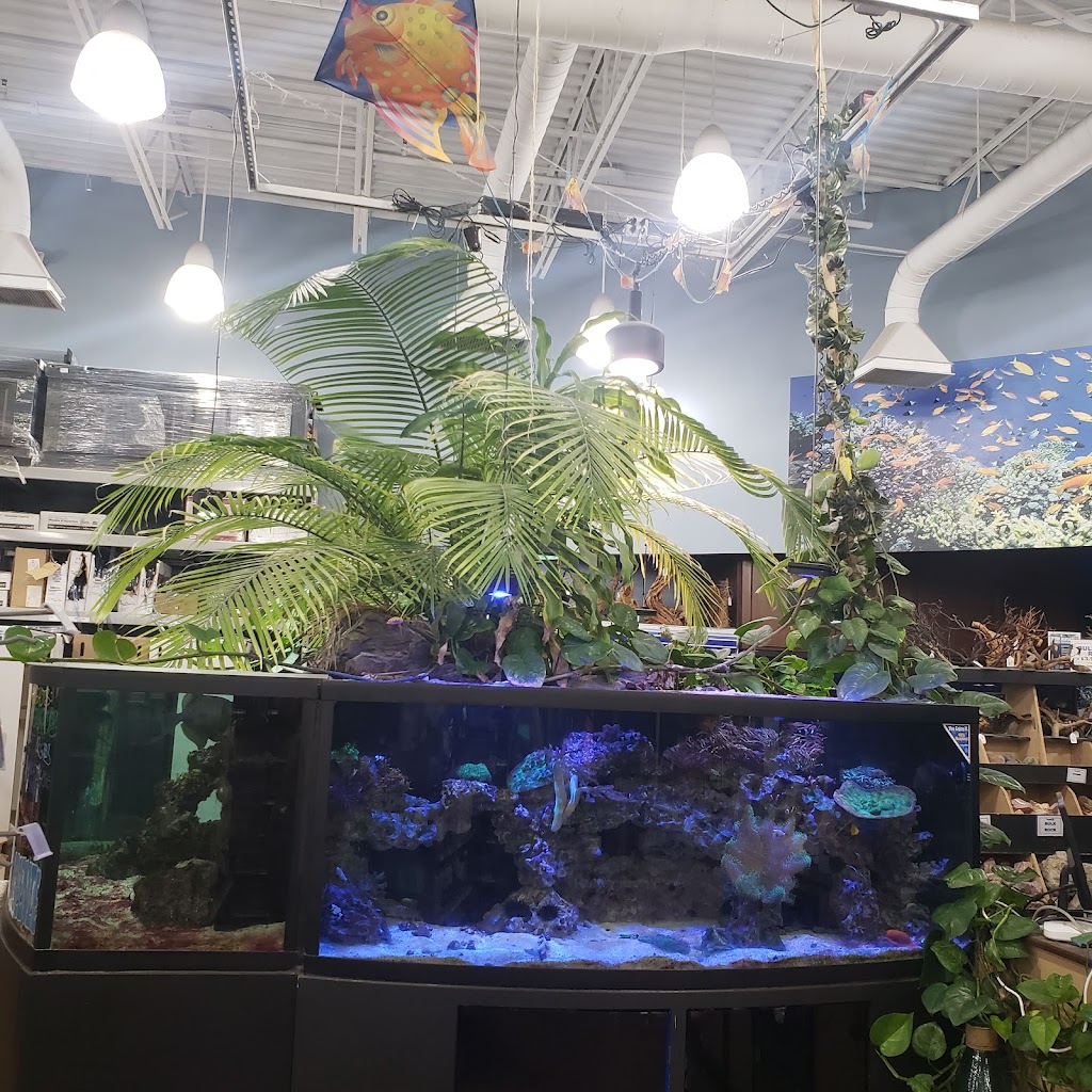 Petland Bolingbrook | The Promenade at Bolingbrook, Petland 744 E Boughton Rd, Bolingbrook, IL 60440, USA | Phone: (630) 739-1213