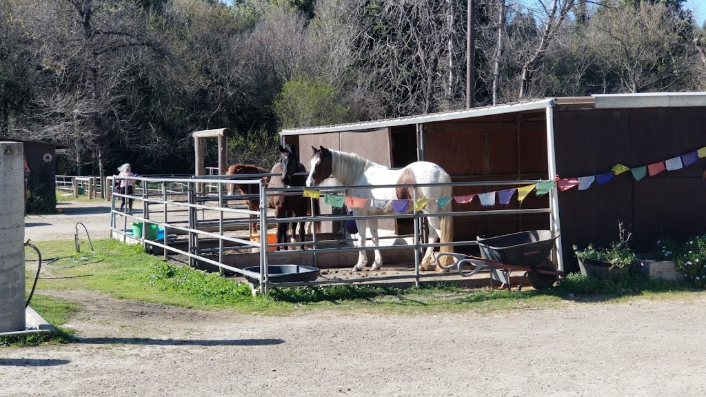 Felton Covered Bridge County Park | Graham Hill Rd, Felton, CA 95018, USA | Phone: (831) 454-7901