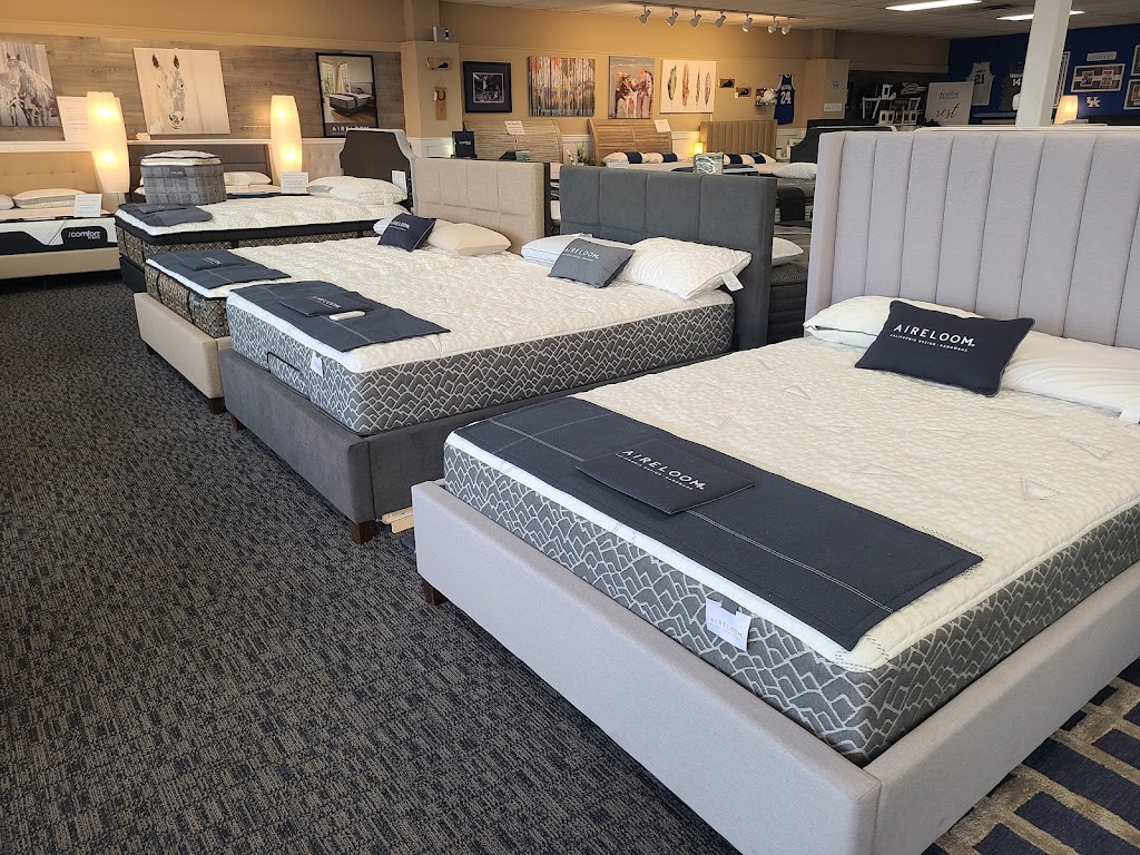 Wildcat Mattress & Massage Chairs | 2040 Lexington Rd, Nicholasville, KY 40356, USA | Phone: (859) 887-2552