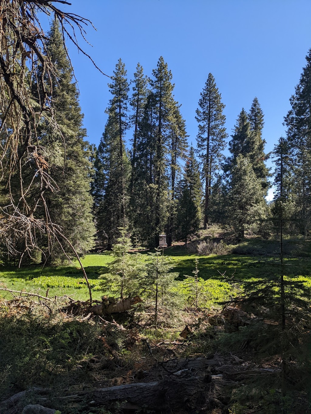 Dora Belle Campground | Dorabella Rd, Shaver Lake, CA 93664, USA | Phone: (877) 444-6777