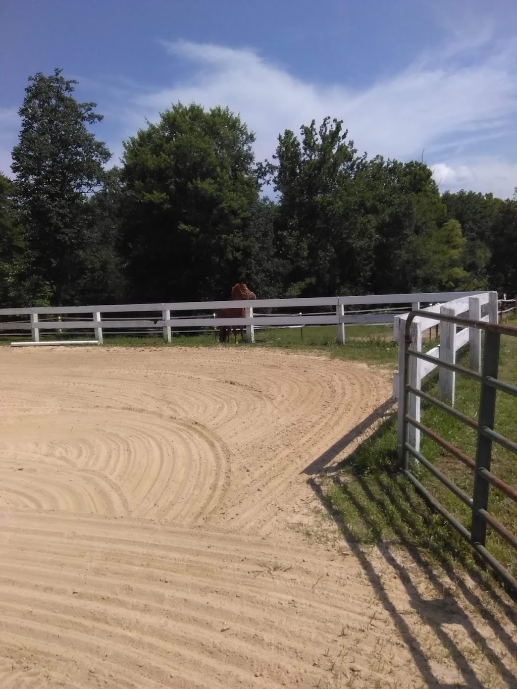 Yonahlossee Saddle Club | 5818 Butler Rd, Gibsonville, NC 27249, USA | Phone: (336) 708-0692