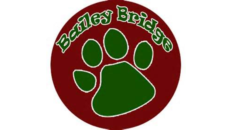 Bailey Bridge Middle School | 12501 Bailey Bridge Rd, Midlothian, VA 23112, USA | Phone: (804) 739-6200