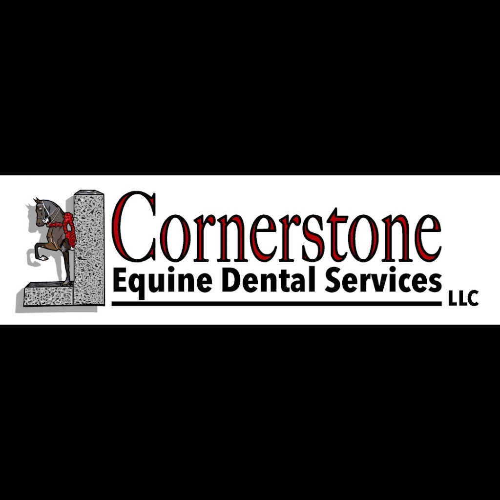 Cornerstone Equine Dental Services LLC | 202 Woodlands Rd, Evans City, PA 16033, USA | Phone: (724) 991-6169