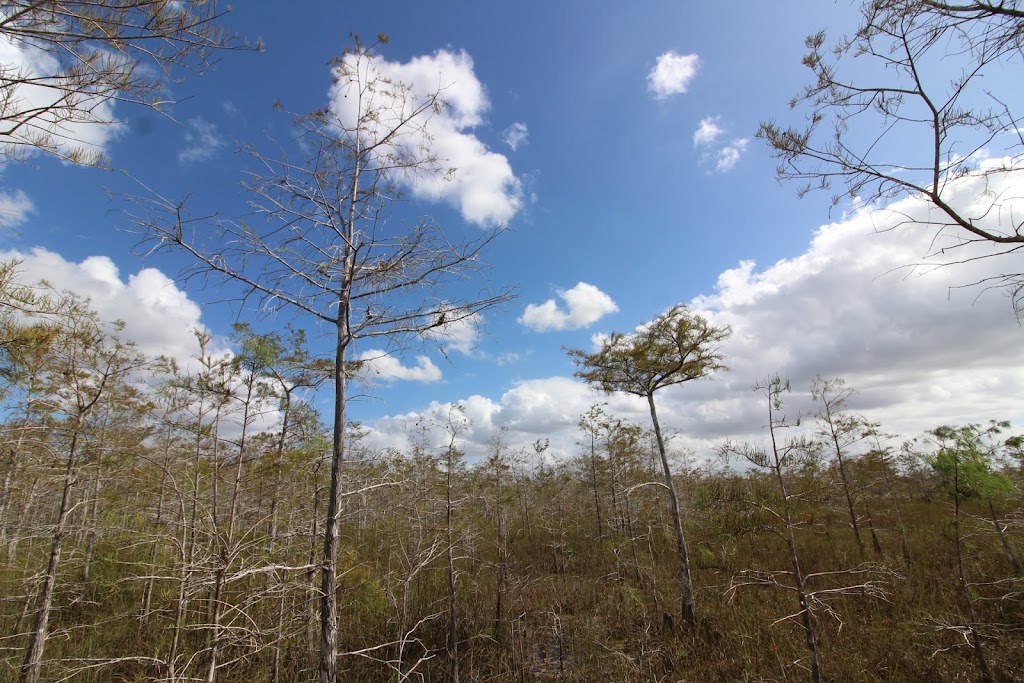 Florida National Parks Association | 10 Parachute Ky #51, Homestead, FL 33034, USA | Phone: (305) 247-1216