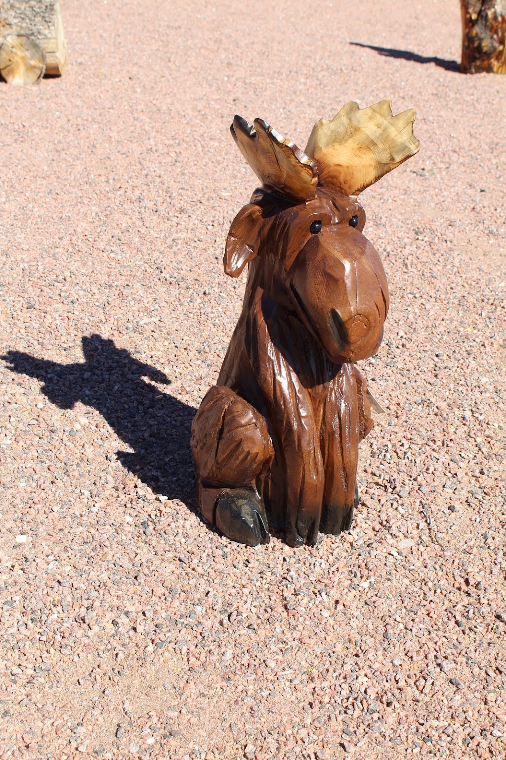 Backyard Carvings by Audrey | 44581 W U.S. 50, Cañon City, CO 81212, USA | Phone: (719) 371-7351