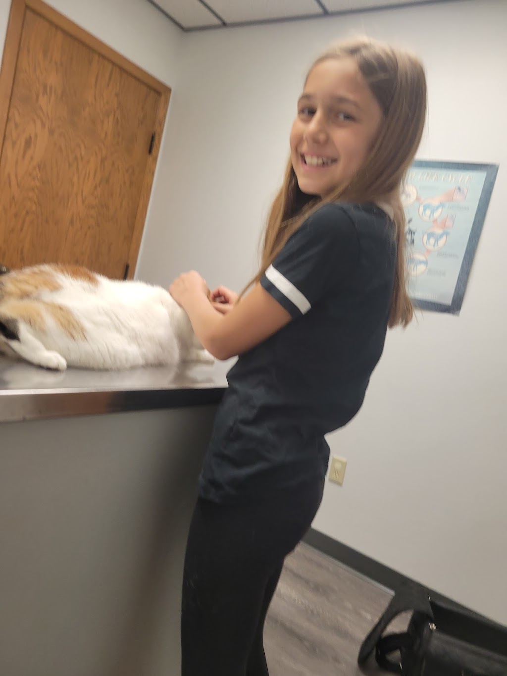 New Prague Veterinary Clinic | 1003 Main St E, New Prague, MN 56071, USA | Phone: (952) 758-2881