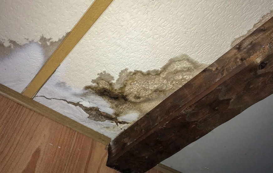 OC Mold Experts | 244 W Maple Ave, Orange, CA 92866, United States | Phone: (714) 660-2156
