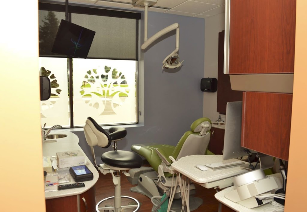 Gracepoint Family Dentistry - Oluwakayode Olowoyo DDS - dentist  | Photo 5 of 5 | Address: 9300 Lexington Ave NE, Circle Pines, MN 55014, USA | Phone: (763) 400-4908