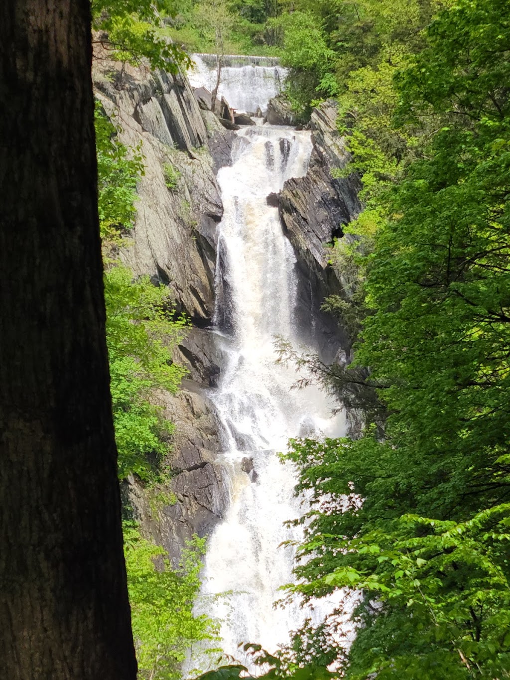 High Falls Conservation Area | 540 Roxbury Rd, Hudson, NY 12534, USA | Phone: (518) 392-5252