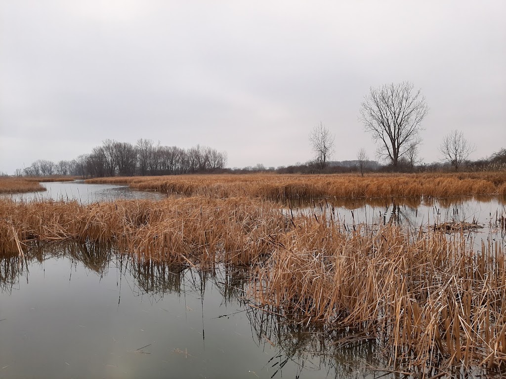 Marshlands Museum & Nature Center | 32481 W Jefferson Ave, Brownstown Charter Twp, MI 48173, USA | Phone: (734) 379-5020