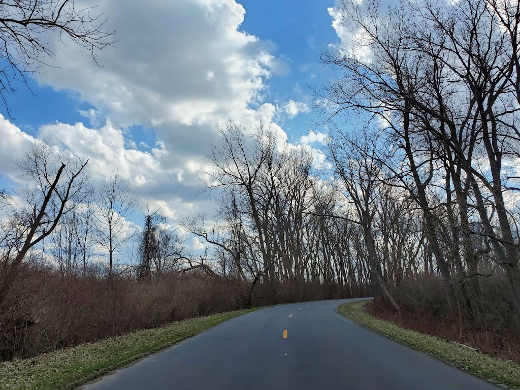 Magee Marsh | Magee Marsh Wildlife Area State Route 2 Oak Harbor OH, Curtice, OH 43412, USA | Phone: (419) 898-0960